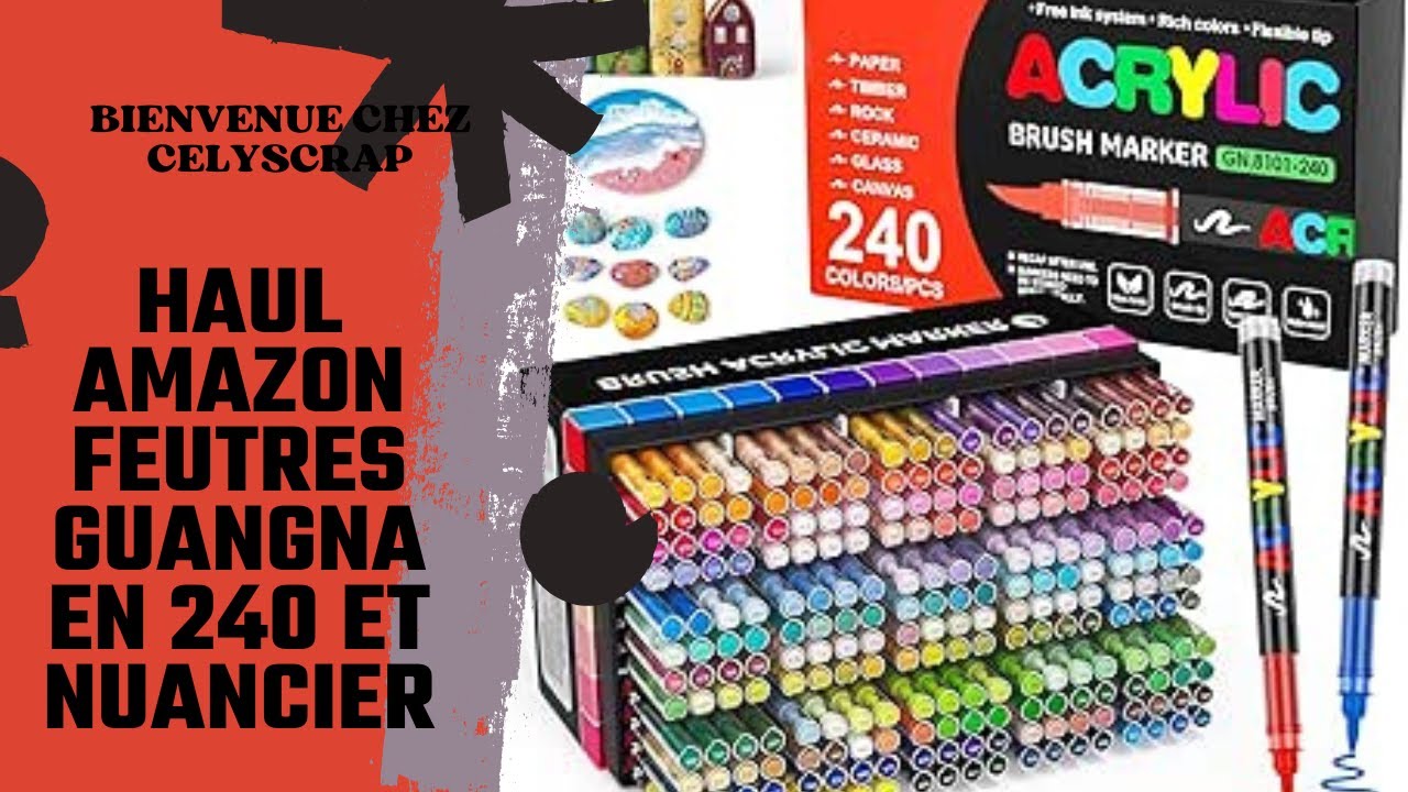 ENCORE UN CRAQUAGE AMAZON FEUTRES ACRYLIQUES GUANGNA PAR 240 ET SON NUANCIER