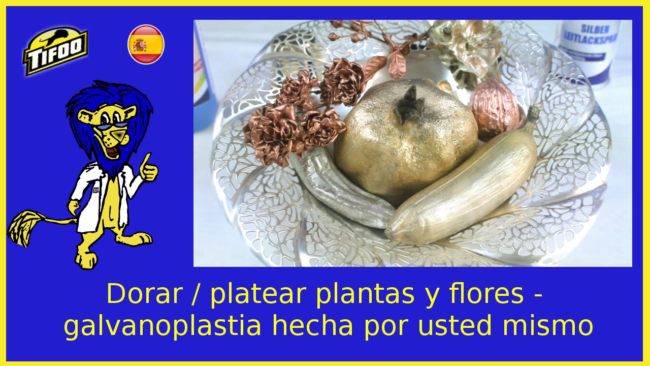 Cómo dorar / platear plantas y flores - galvanoplastia casera