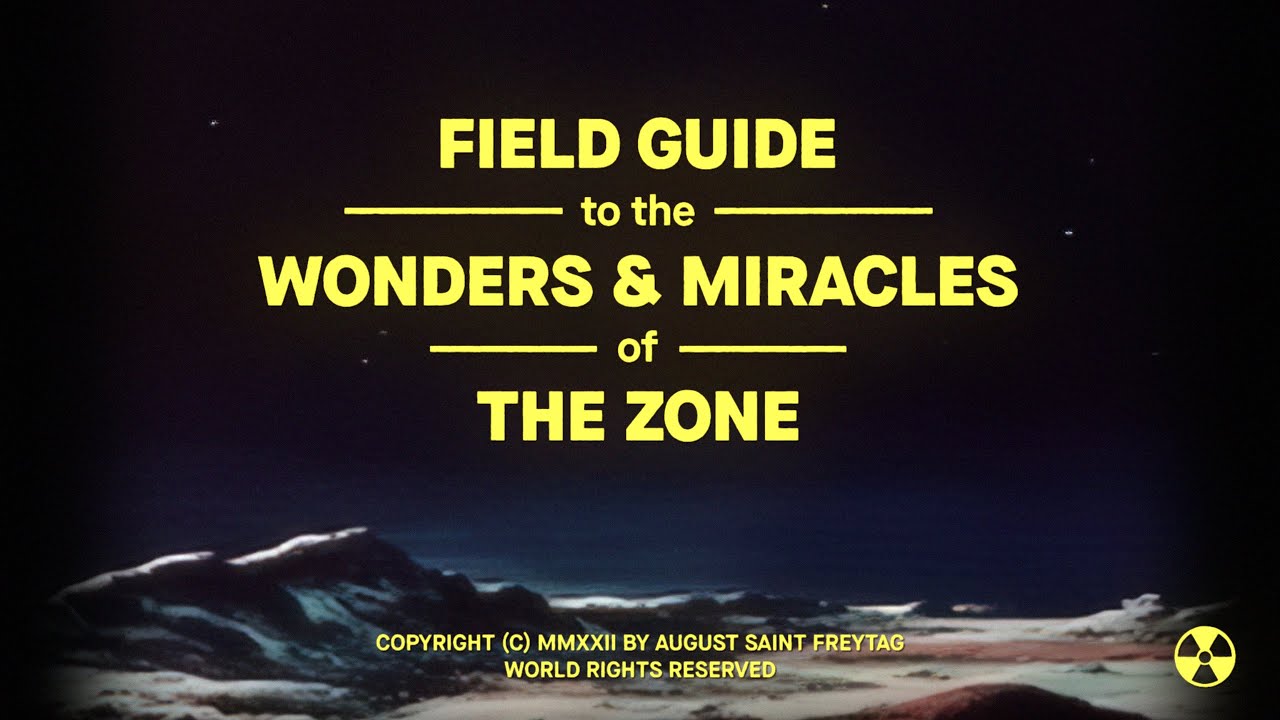 The Strange and Anomalous Media of Roadside Picnic