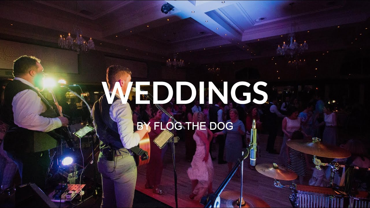 Flog The Dog Wedding Band Kildare