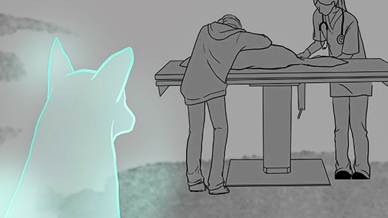 it's okay... (Real Pet Stories Depicted)