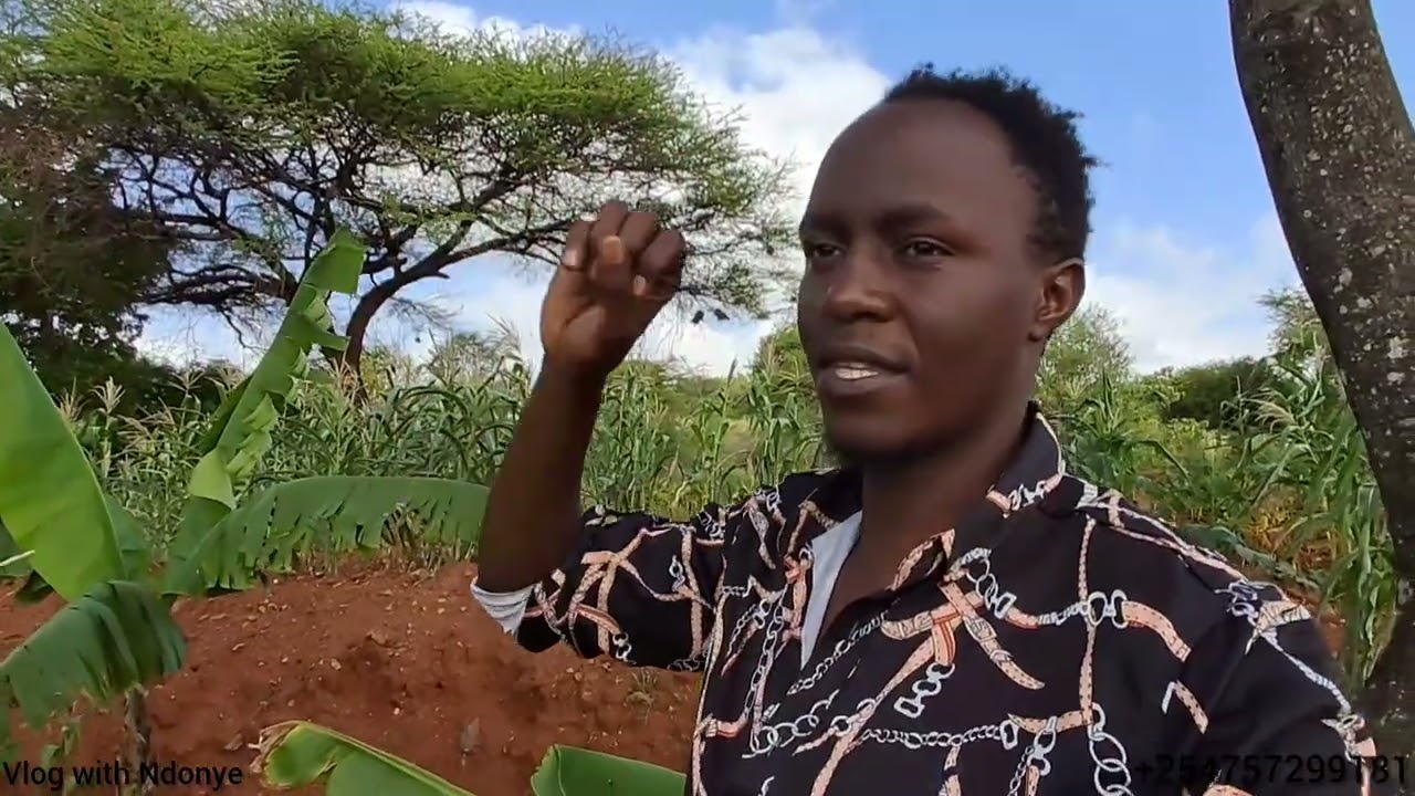 The hustle of planting in the village