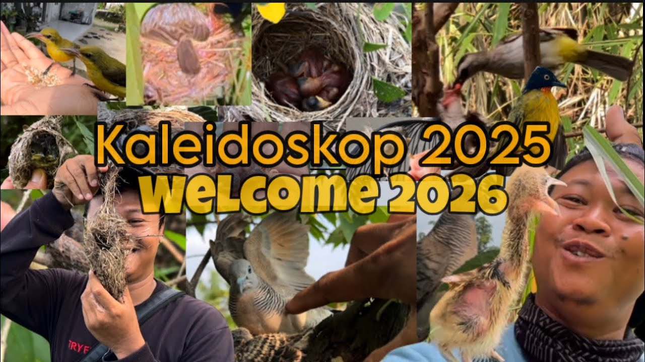 Welcome 2026‼️ inilah kenangan manis ditahun 2025 🤩🤩🤩