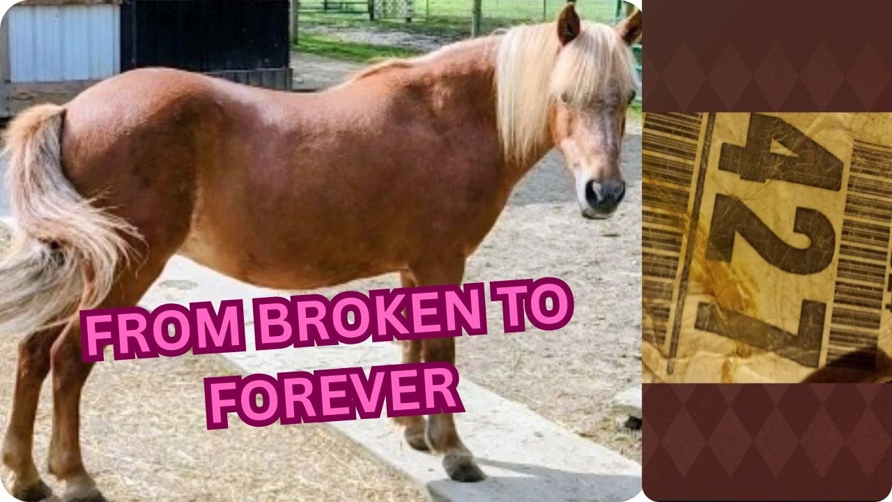From Broken and Hungry to Forever Loved — Missy