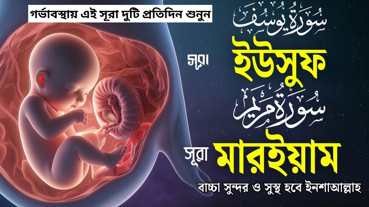সূরা মারইয়াম ও সূরা ইউসূফ । র্গভাবস্থায় বেশি বেশি শুনুন lAlaa Aqil