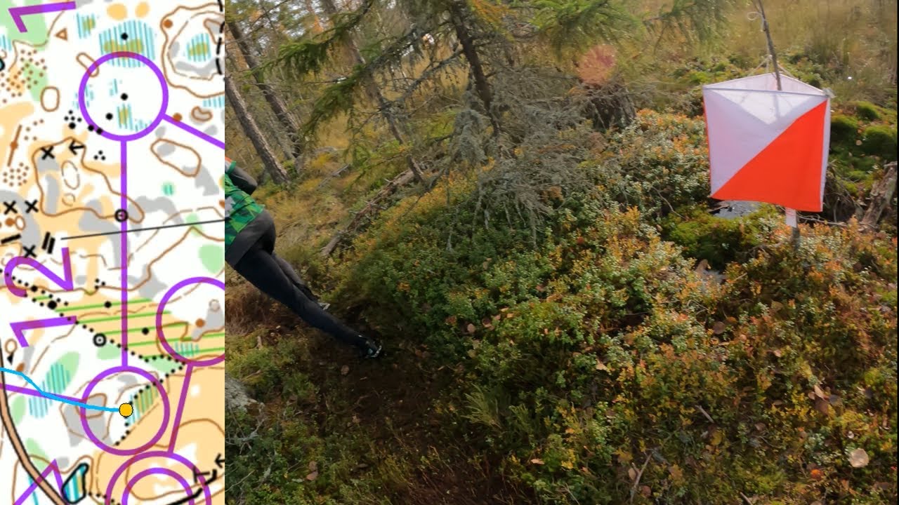 Halikkoviesti 2023 || Orienteering Headcam video