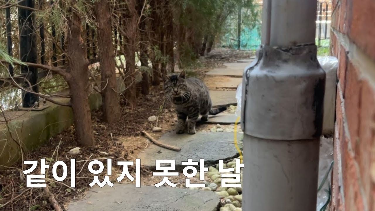 같이 있지 못한 날