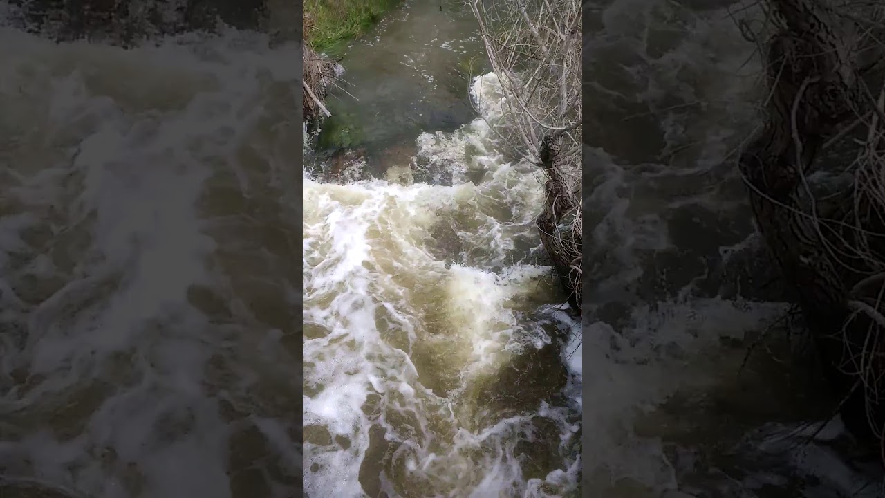 San Diego River Hydraulic Action