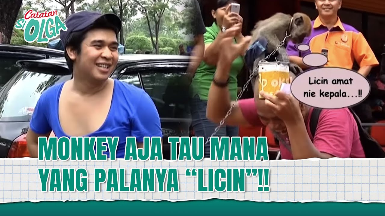 Kepala Sapri Bikin Monkey Nyaman!! | Catatan Si Olga Eps 34 (2/2)