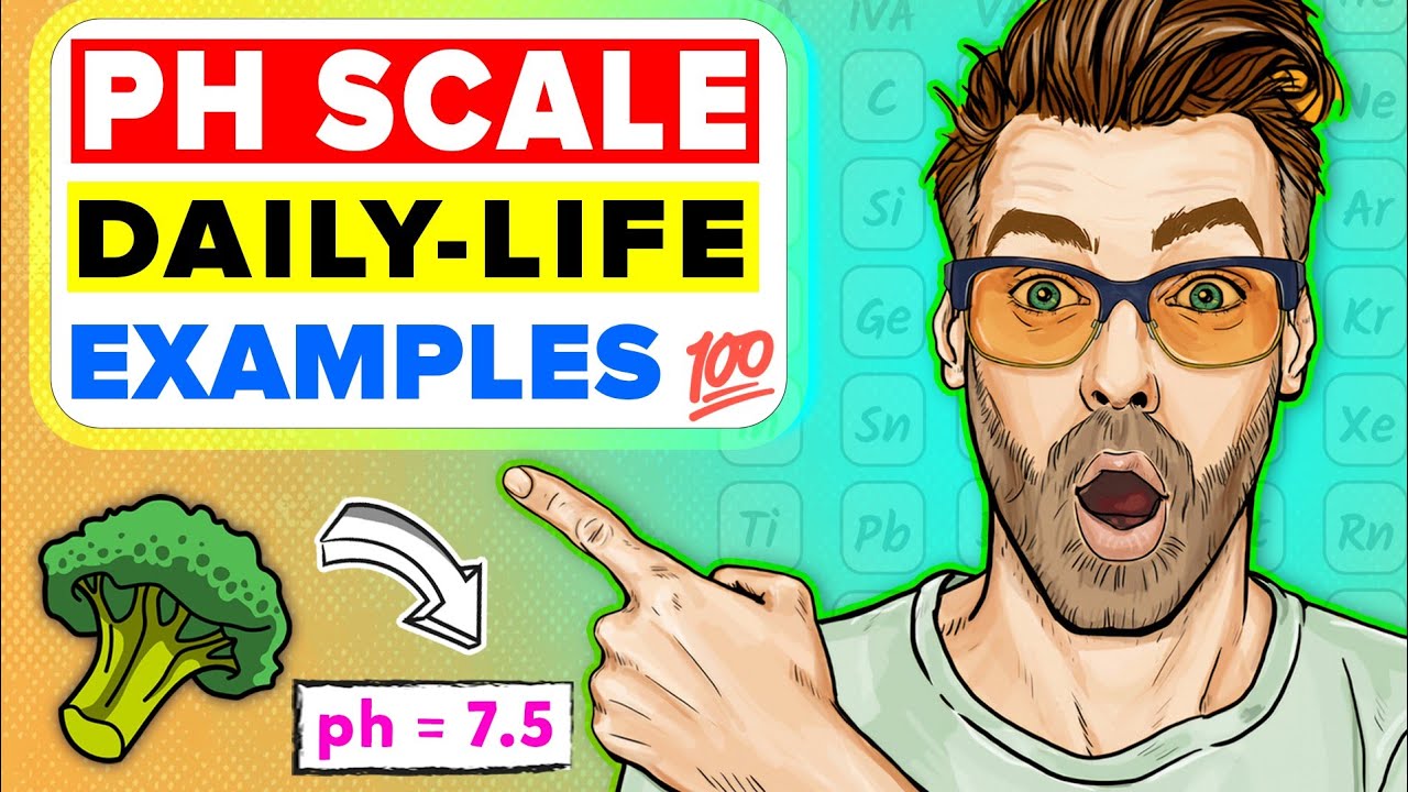What is the PH Scale? Importance of PH in Everyday Life | Acids, Bases and Alkalis