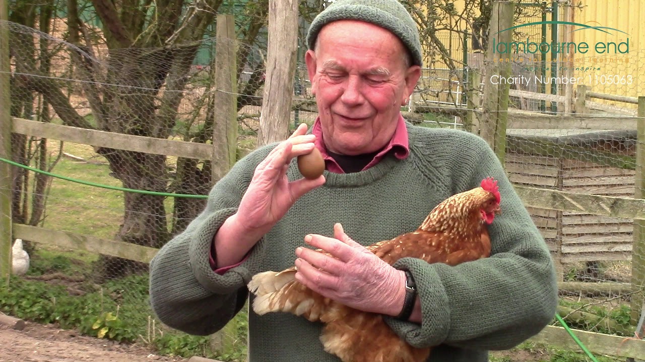 Virtual Farm Tour at Lambourne End Centre