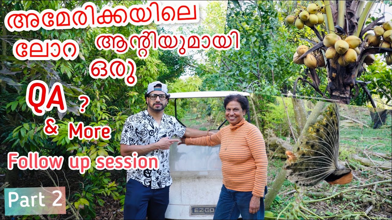 Visited the biggest Malayalee organic fruit farm in America, ലോറ ആന്റിയെ കാണാൻ പിന്നെയും പോയപ്പോൾ