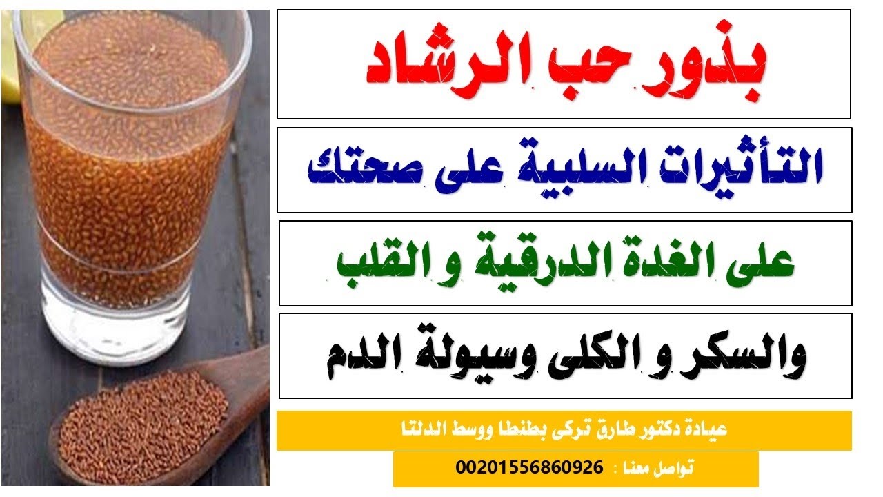👈 خطوره حب الرشاد : تأثيرات سلبيه على الغدة الدرقية و القلب و السكر و الكلى و سيولة الدم 🔥