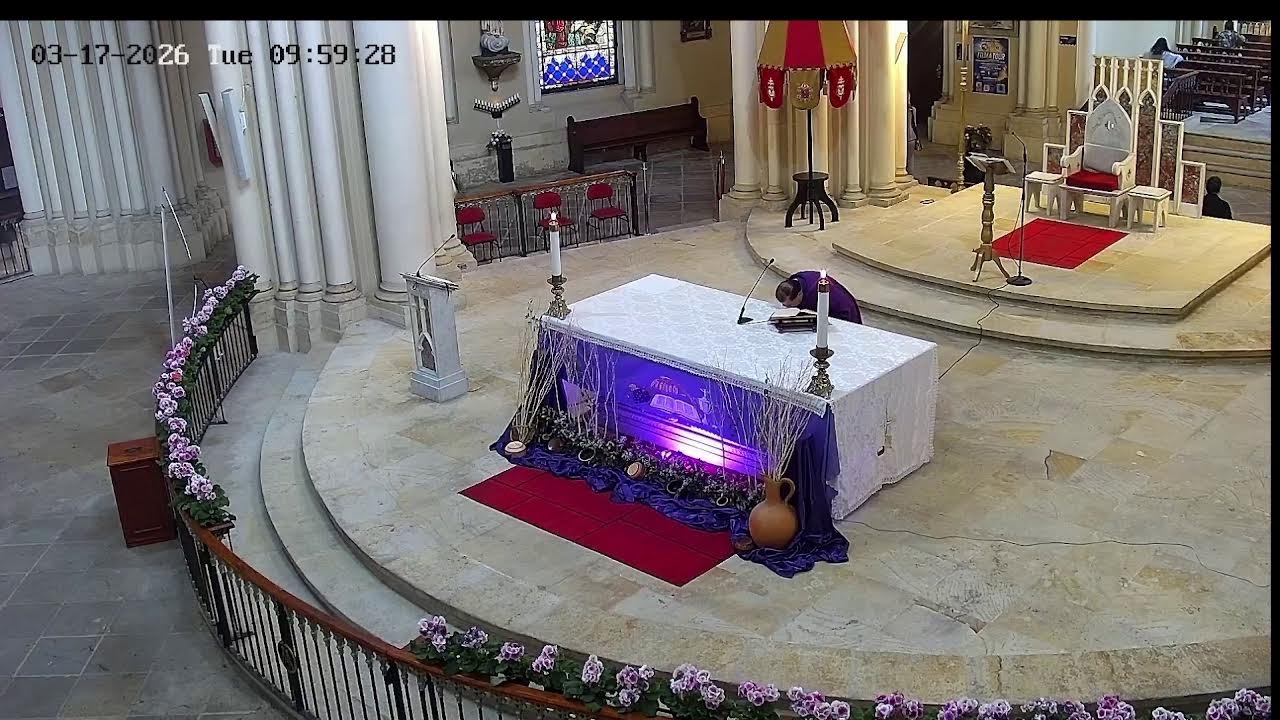 Transmisión Eucaristía Basílica de Lourdes   2026