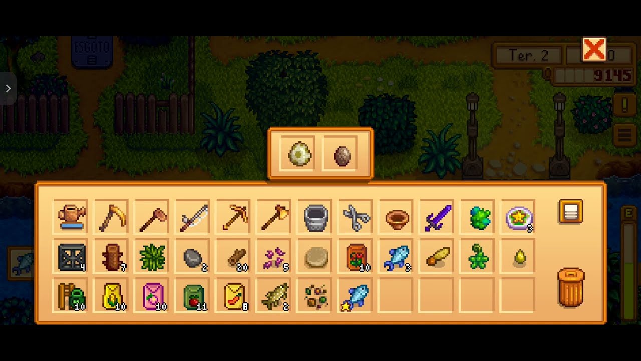 Recado secreto #21 - Stardew valley 