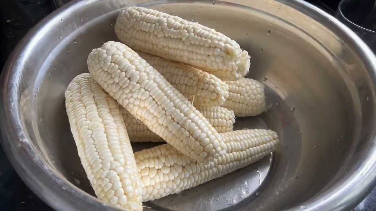 如果你厌倦了外面的生活，就回来收玉米吧！ 有劳动的辛苦，也有丰收的喜悦#一份耕耘一份收获 #我的乡村生活
