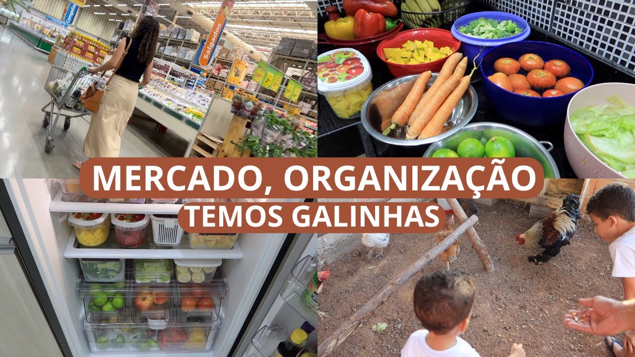 GALINHEIRO FICOU PRONTO, COMPRAMOS GALINHAS, MERCADO DA SEMANA + ORGANIZAÇÃO DA GELADEIRA