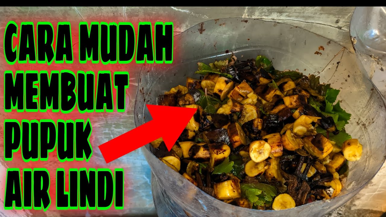 CARA MUDAH MEMBUAT PUPUK AIR LINDI‼️🔥🍇