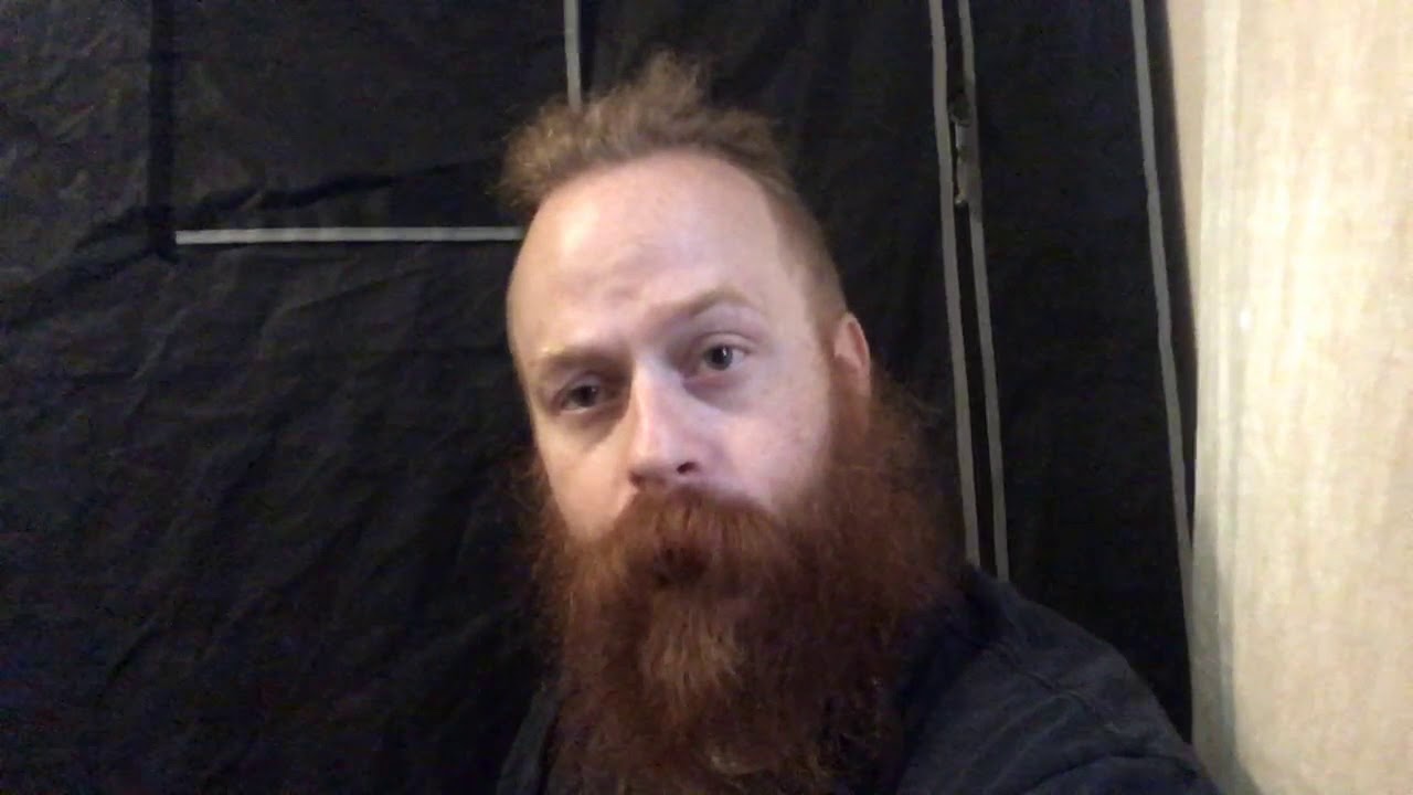 Week 1 Indoor Grow Auto Anubis and Auto Kryptonite