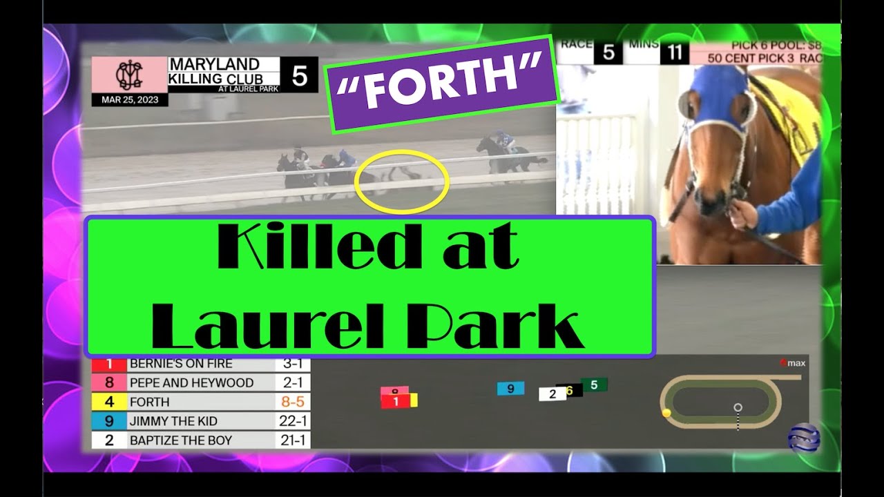 Death race 🏴‍☠️ of FORTH, killed at Laurel Park 3.25.23 @MarylandRacing #horseracing @watch1STtv