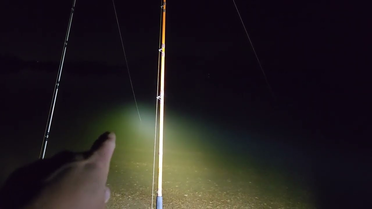 Nighttime catfishing on the Tennessee River