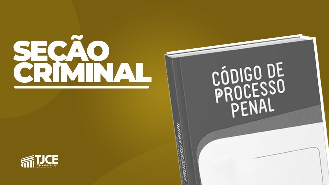 SE&Ccedil;&Atilde;O CRIMINAL