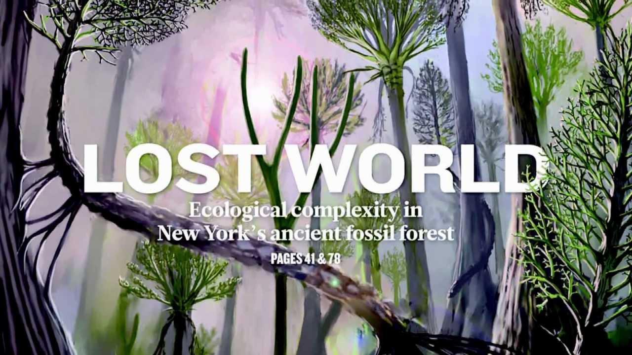 World's Oldest Fossilized Forest Unearthed in NY
