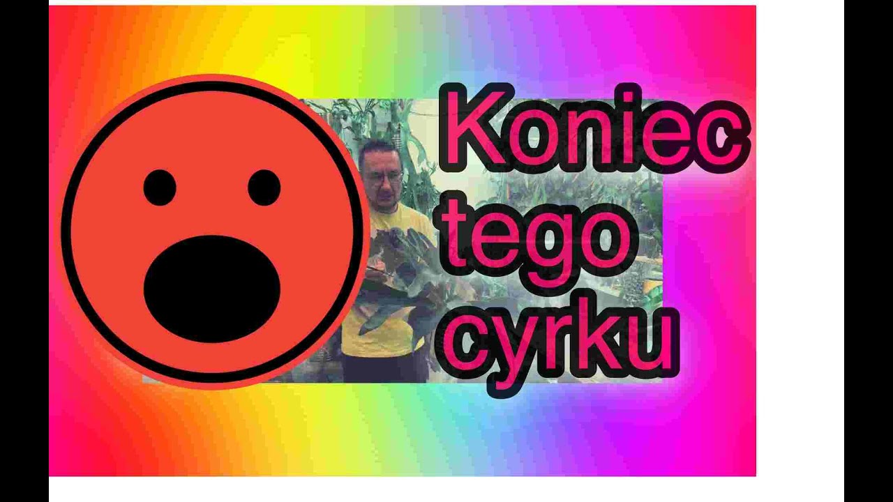 Pościągałem wszystkie Platycerium ze ściany