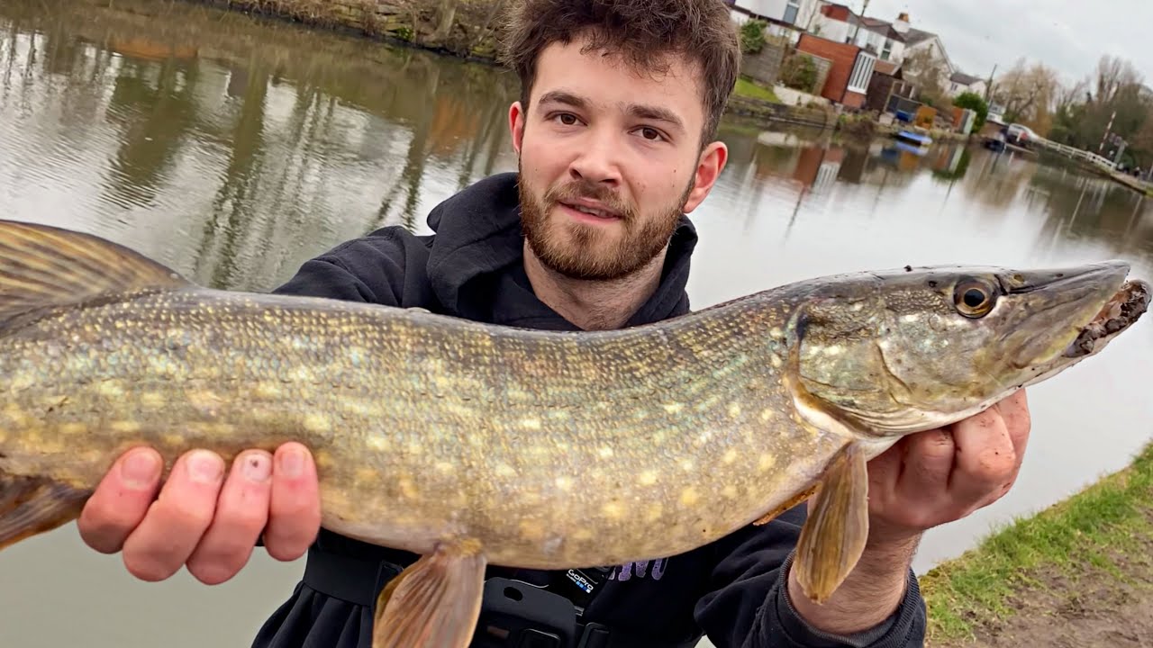 Liverpool Pike Fishing - Lure PB - Leeds Liverpool canal