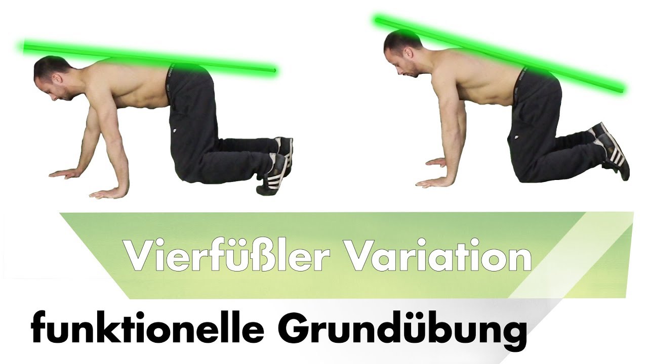 Vierfüßler Animalwalk | Funktionelle Grundübung