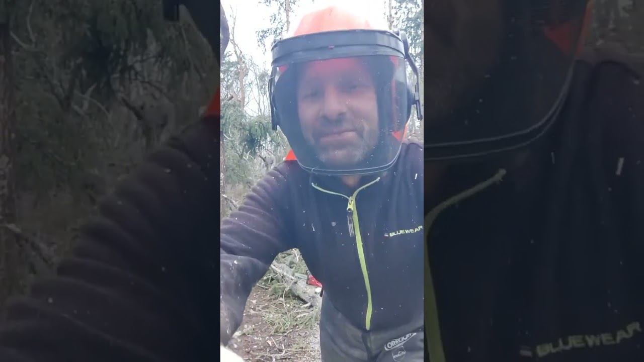 At lumberjack courses