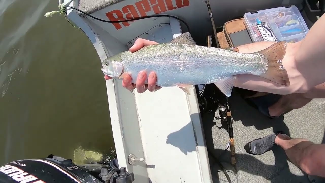Peche lac Massawippi  / fishing lake massawippi