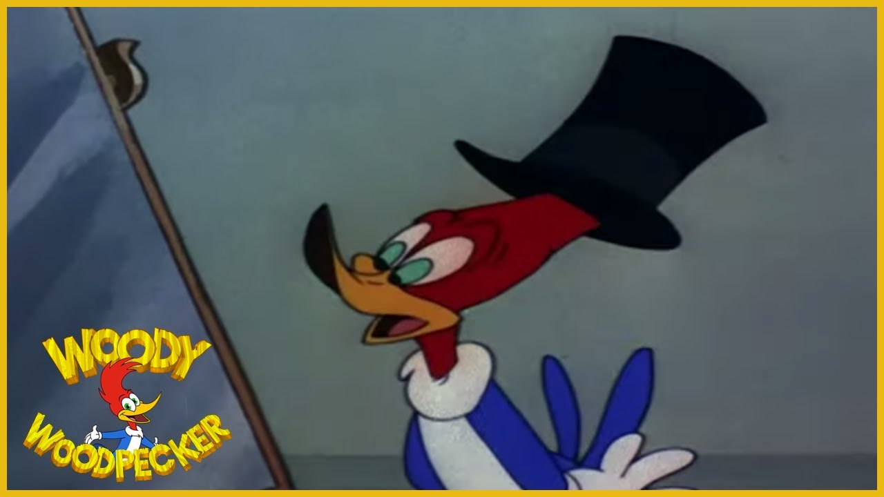 Woody Woodpecker | The Mad Hatter | Full Episodes