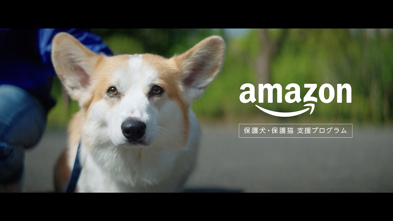 Amazon 保護犬・保護猫 支援プログラム 「迎え入れたい明日につながる」篇
