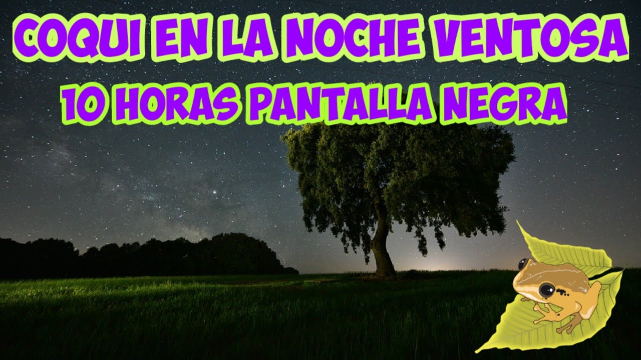 Sonido Coqui Y Noche Ventosa En El Campo Puerto Rico Relajante 10 horas