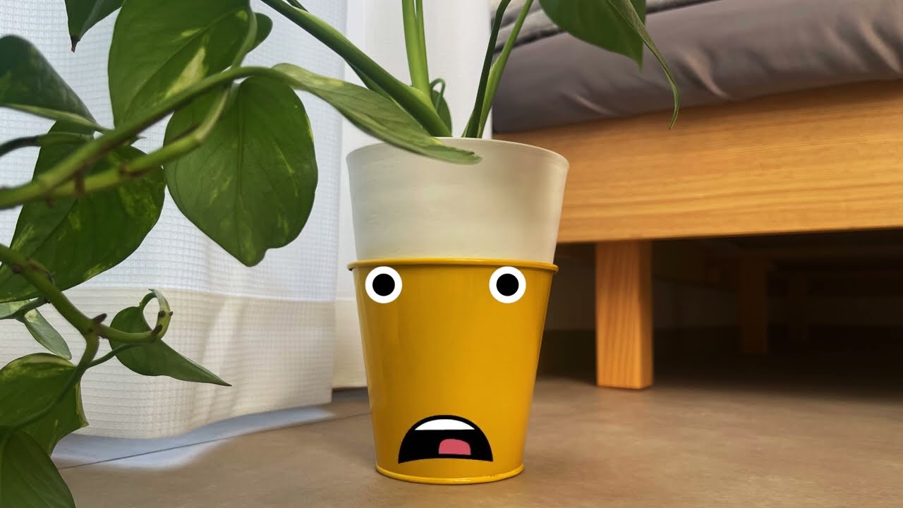 Monstera and Pothos: A Plant Talk Lounge
