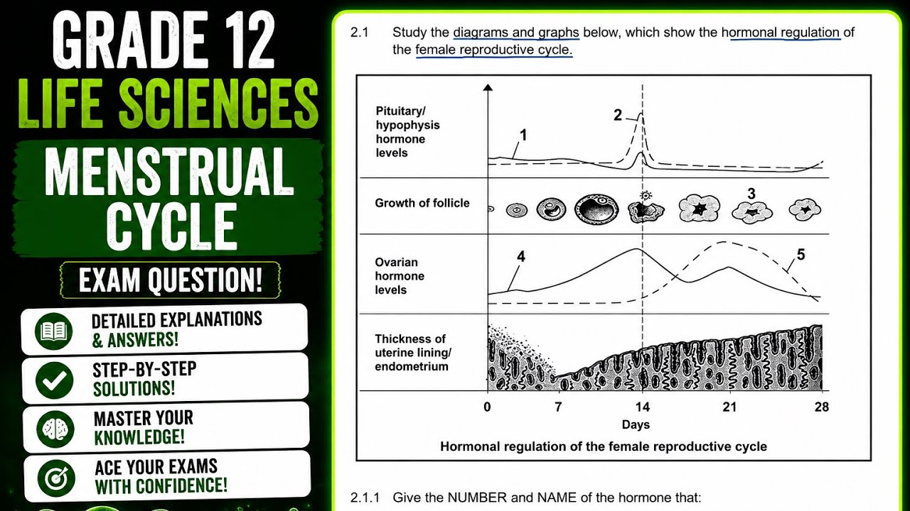 Grade 12 Menstrual Cycle Question Answered GET FULL MARKS | Genetics| Life Science