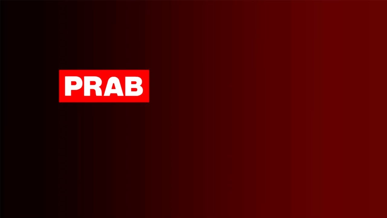 PRAB Modular Chip Processor System Introduction