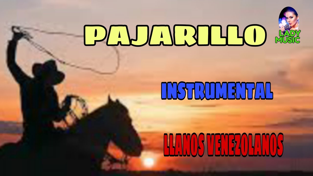 PAJARILLO instrumental (Llanos Venezolanos)