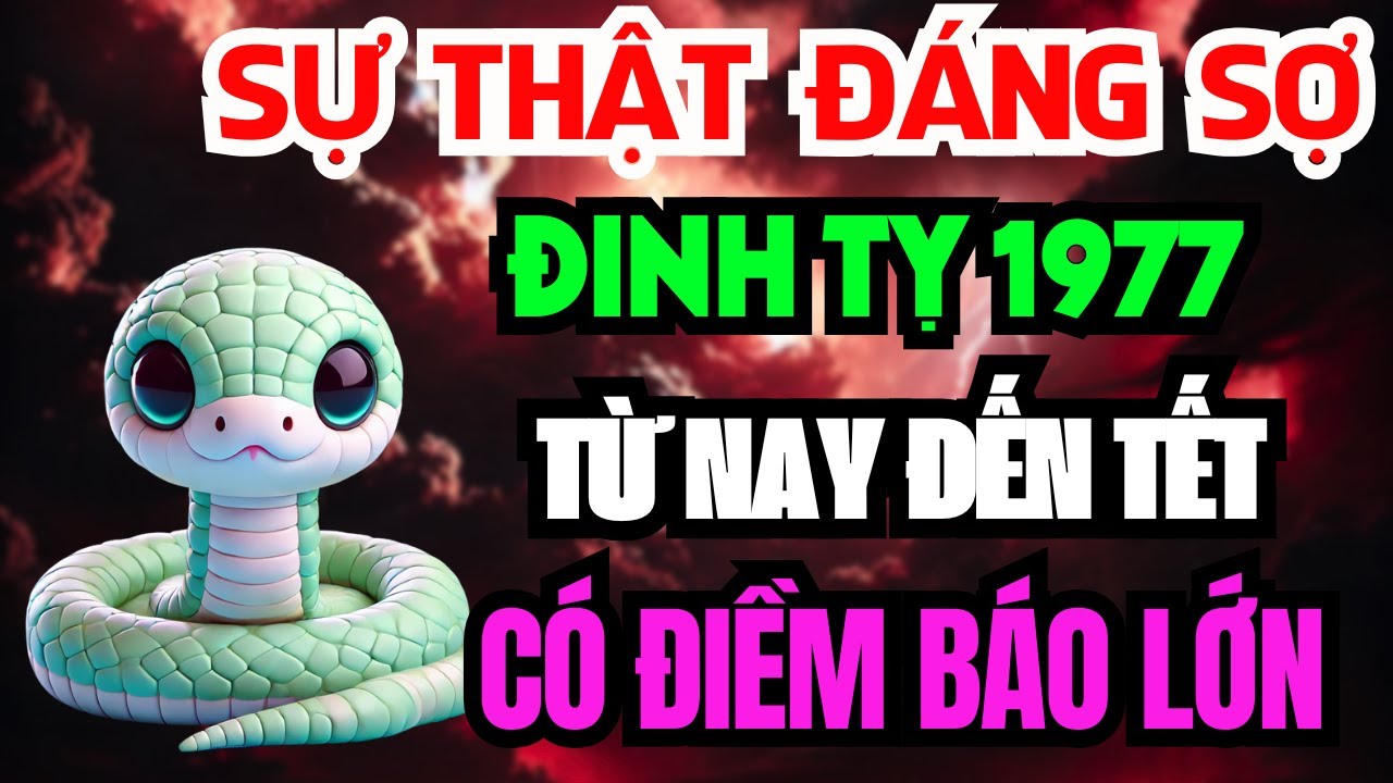 Tử Vi Tuổi Đinh Tỵ 1977 Từ Nay Đến Tết - Sự Thật 