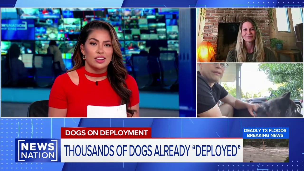 Dogs on Deployment Featured on NewsNation