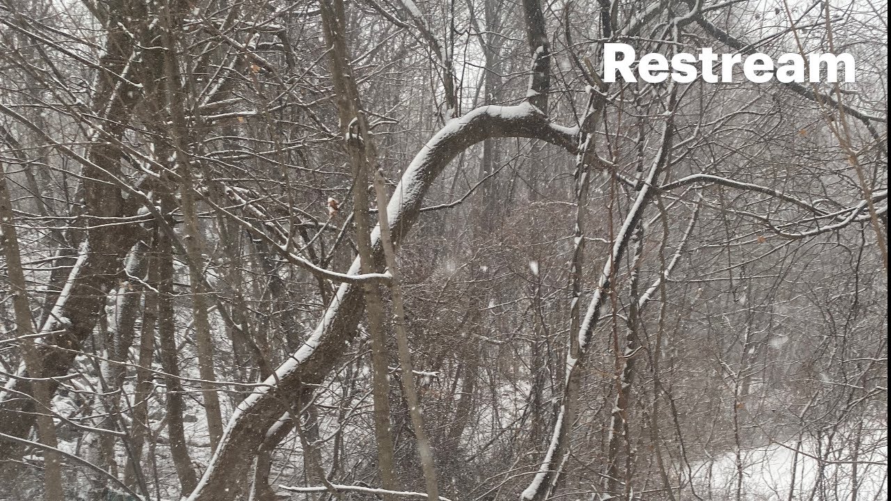 Abstract artsy video experiments with sound noise and music audio created in 2k or 4k
