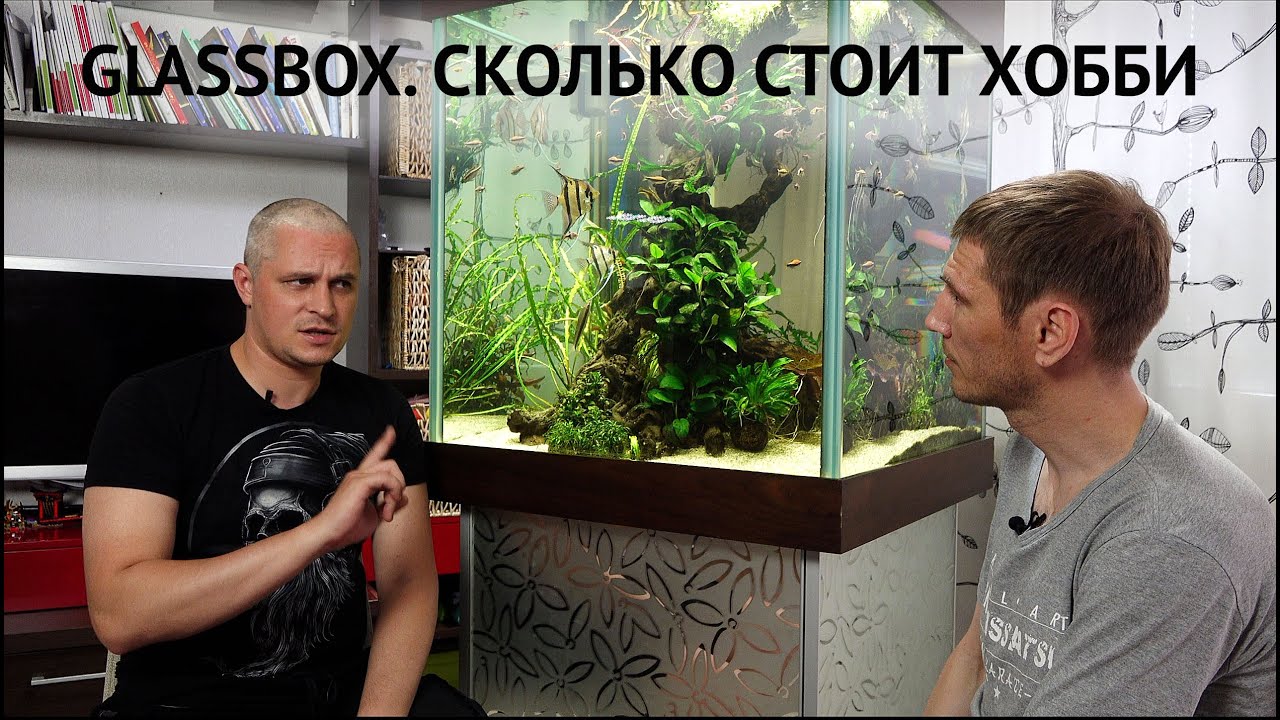 Glassbox. Сколько стоит Хобби