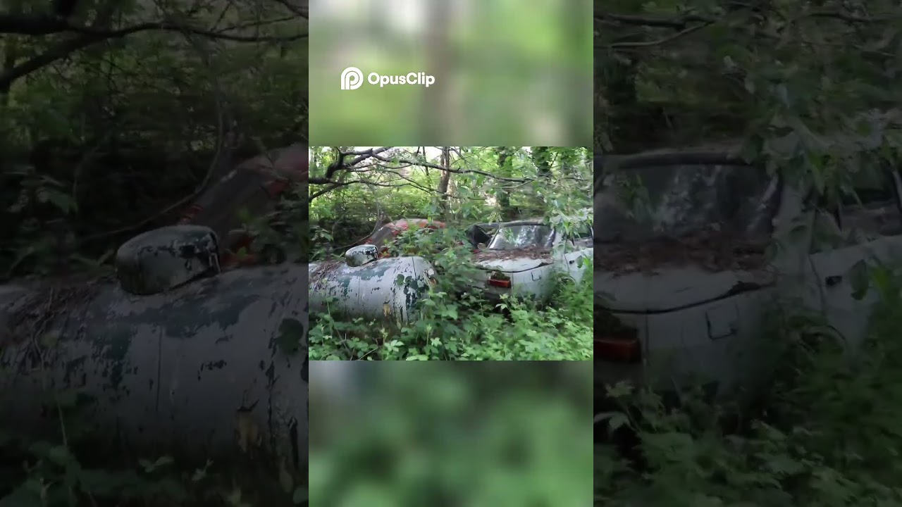Mercedes Van Discovery  Amazing Old Cars Found!😎