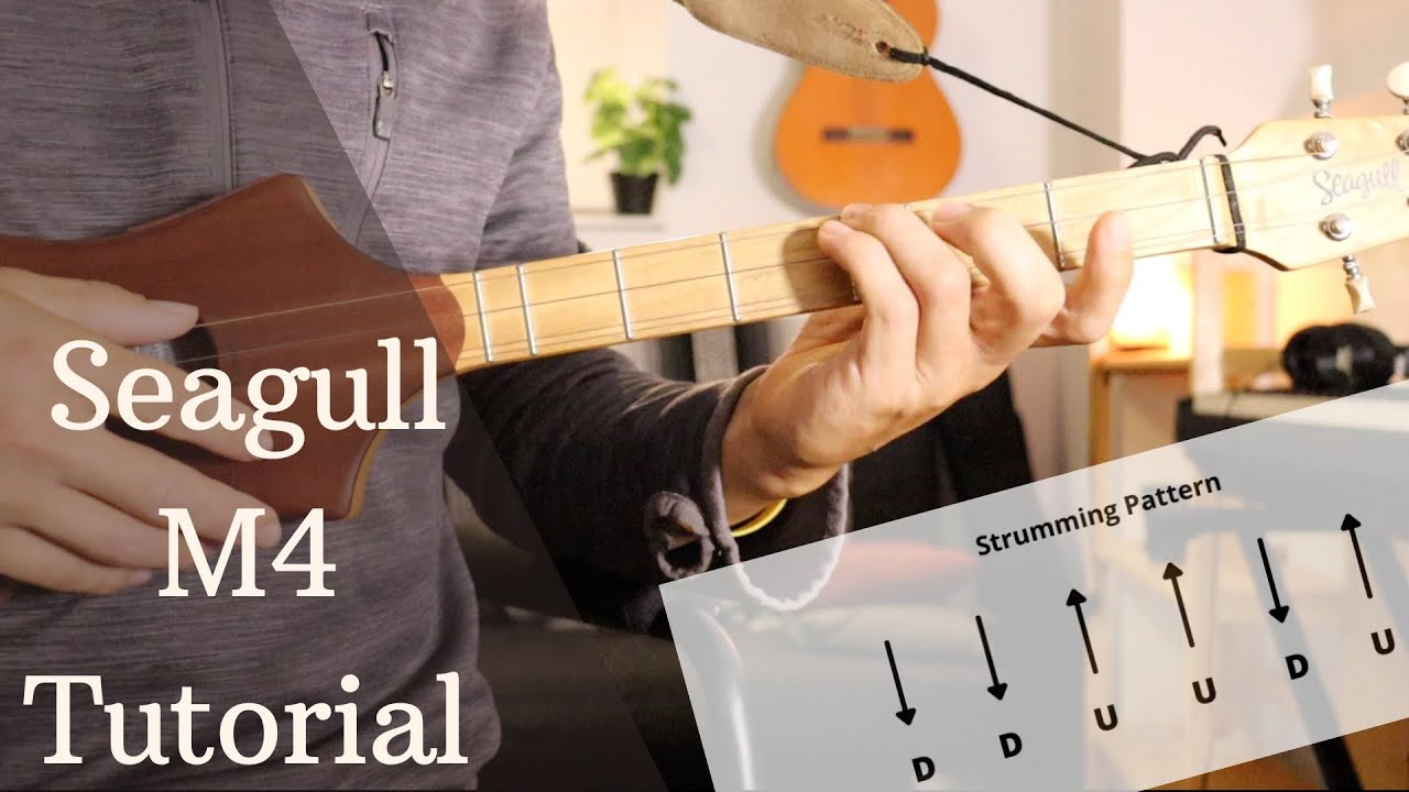 Seagull Merlin M4 // Chord Progression Tutorial