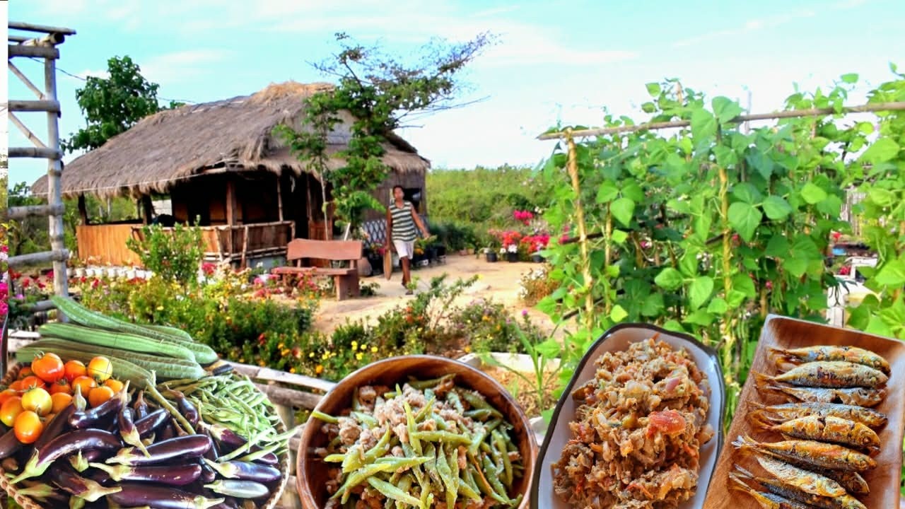 Vegetable overload from the farm | Baguio beans is thriving | Province life