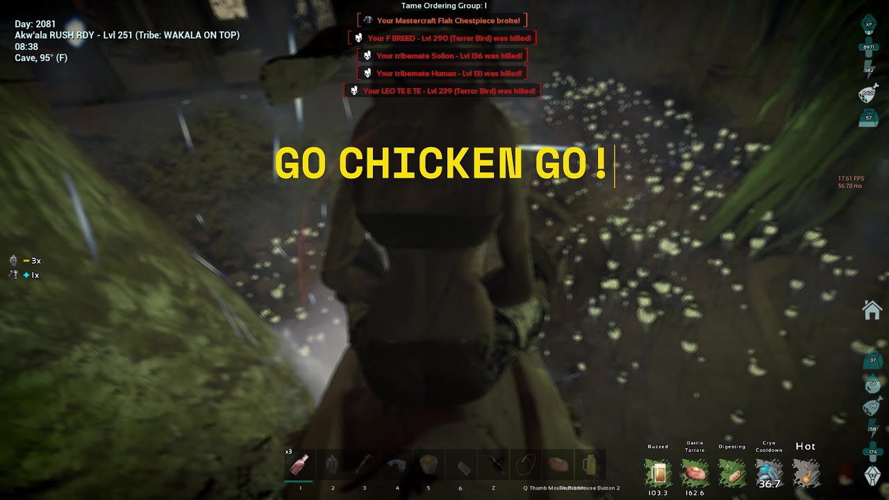 WIPING PACK CAVE OC SERVER  | ARK ASA PVP: Survival Ascended Official Small Tribes AKWALA /CCG