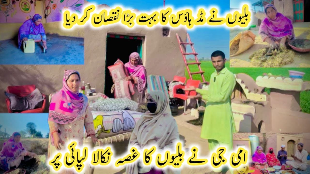 Billio Ne Mud House Ka Bohat Barra Nuqsaan Kar Dia || Ammi Ji Ne Billio Ka Ghussa Lipai Per Nikala 