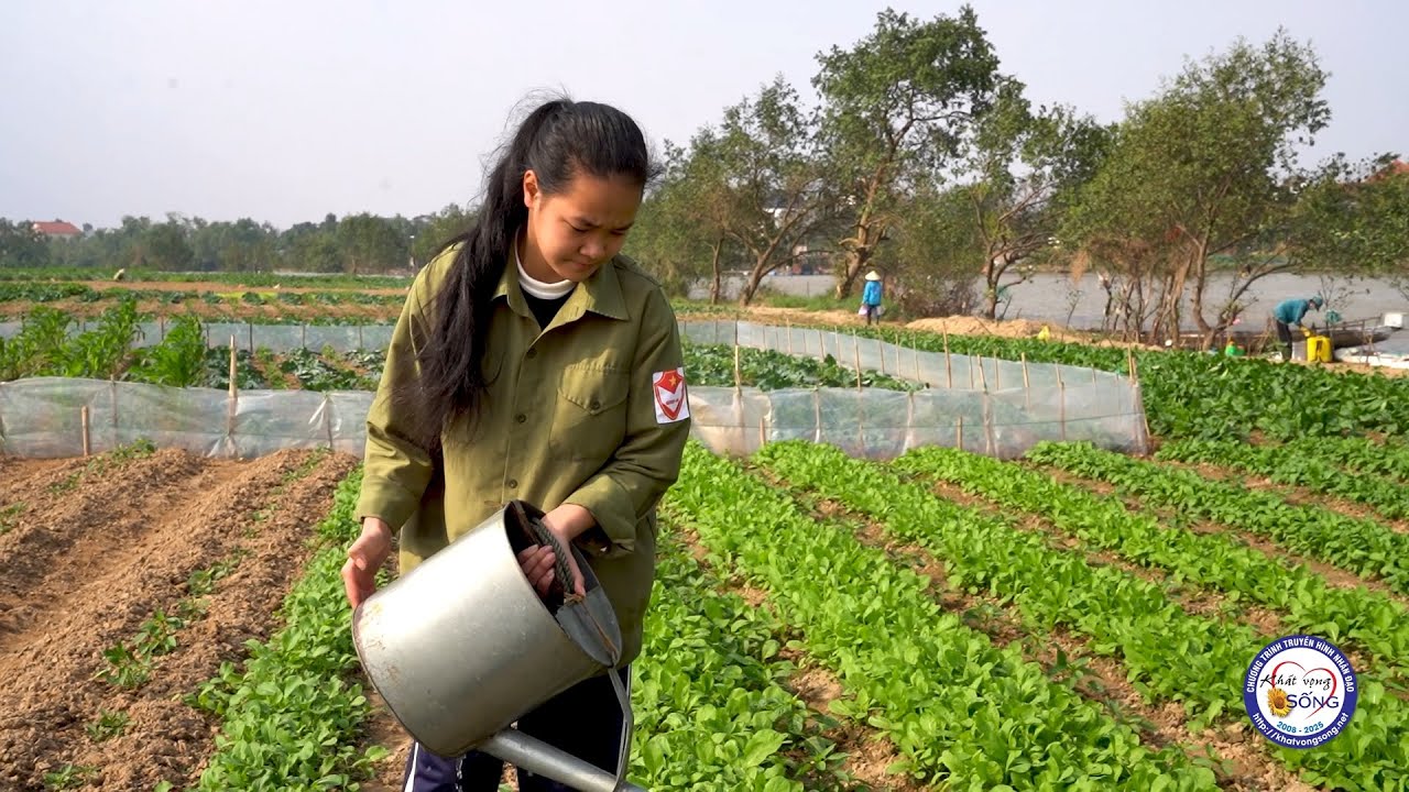 Cháu gái mồ côi gánh vác gia đình, trồng rau muốn ước mơ vào đại học