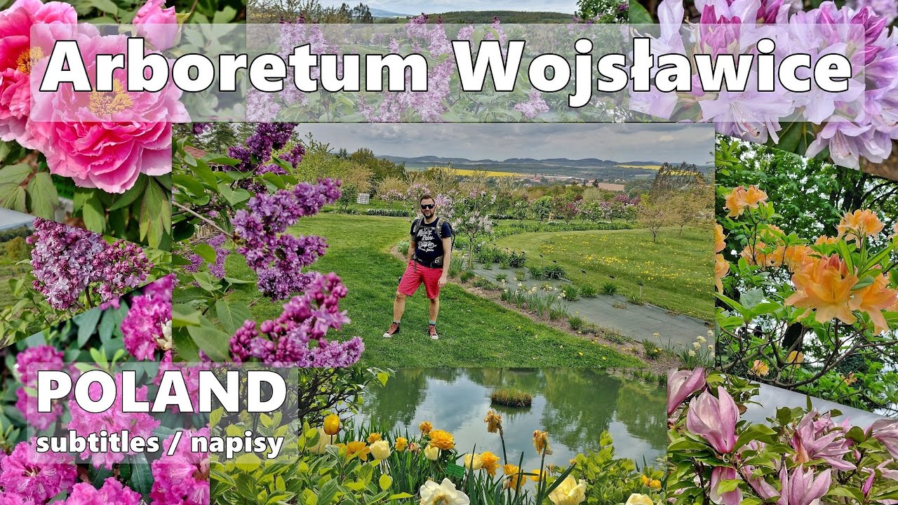 🇵🇱 Дендрарий Войславице | Польша | открытие сезона 2024 | ходить | #польша #польска #дендрарий